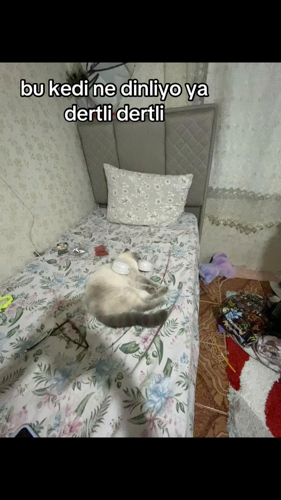 @🦭