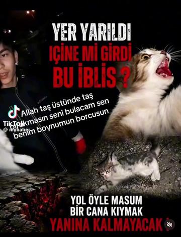 @Yildiz Rizeli 53 34