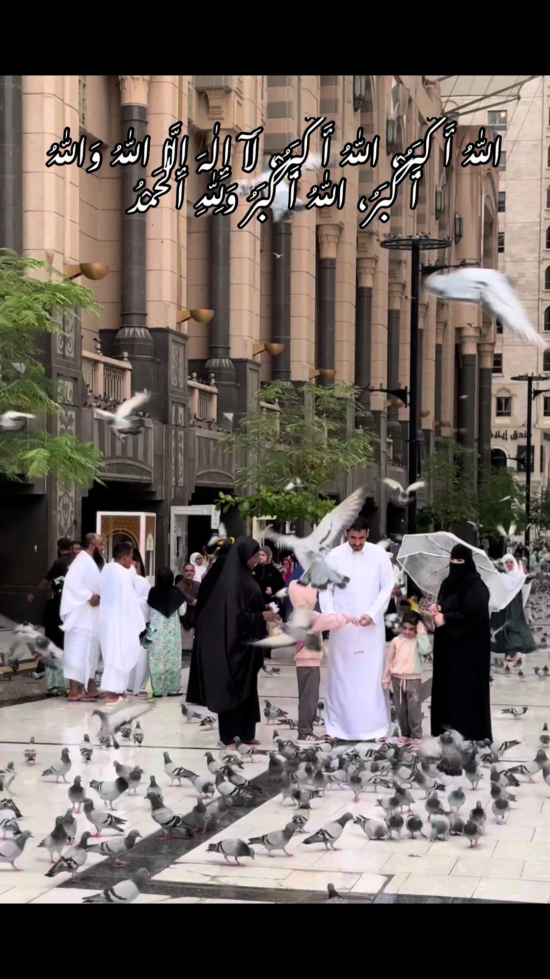 @Haسnain🇸🇦