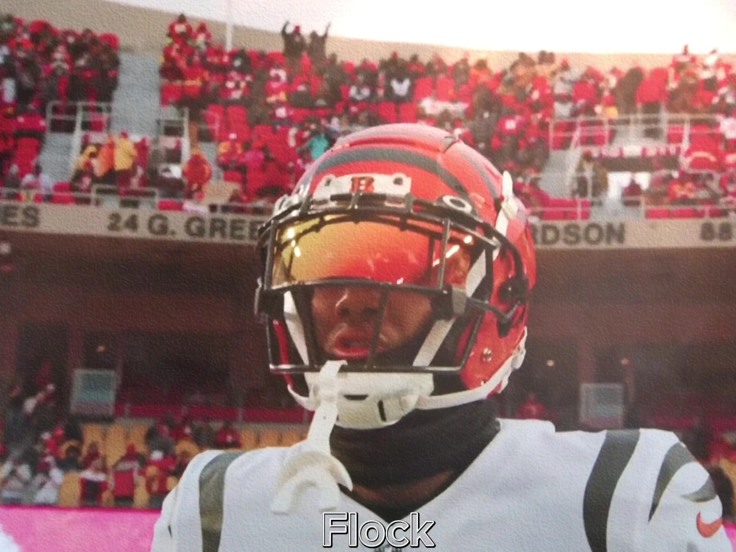 @flockwhodey.editzz
