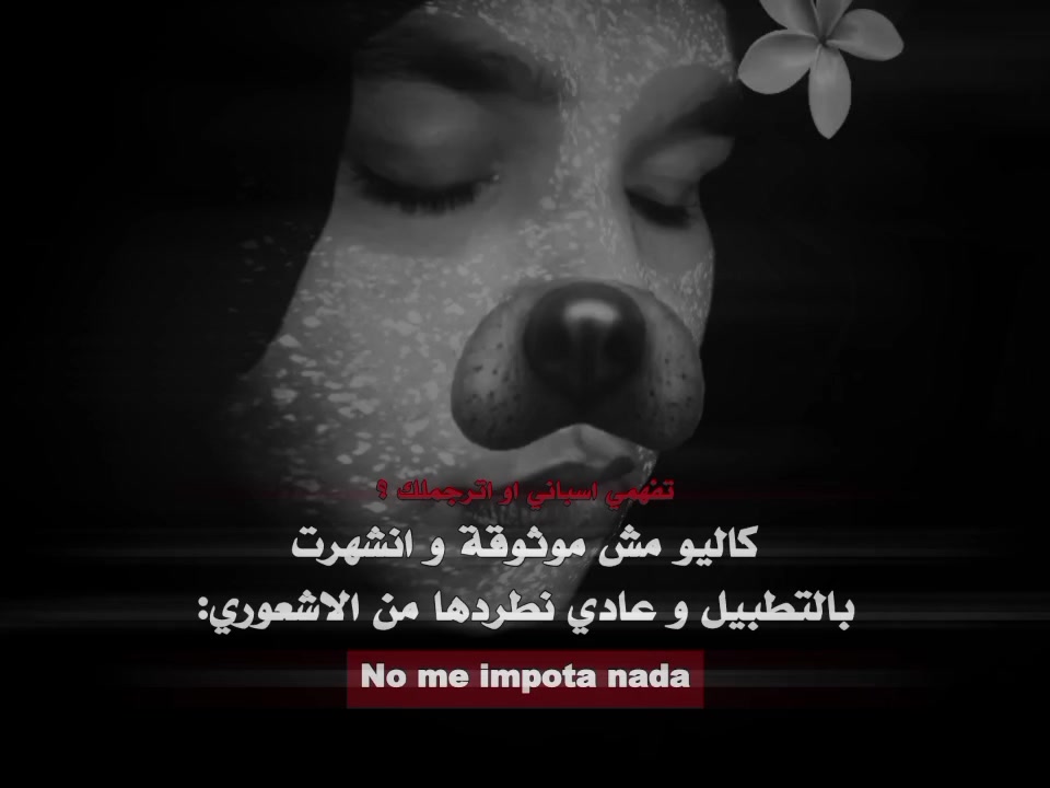 @أم الـاشعَوري كاَليوِنيِتا🏴،.
