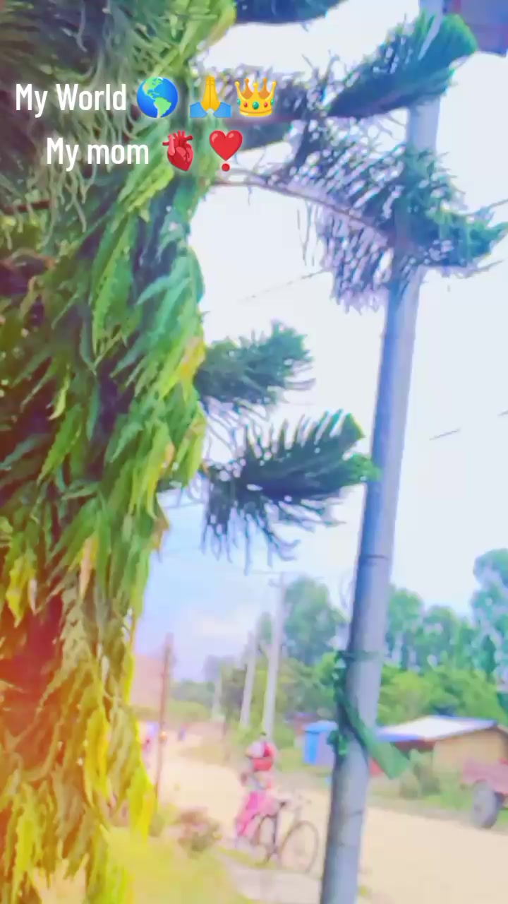 @❣️baijnath👑🦋💯