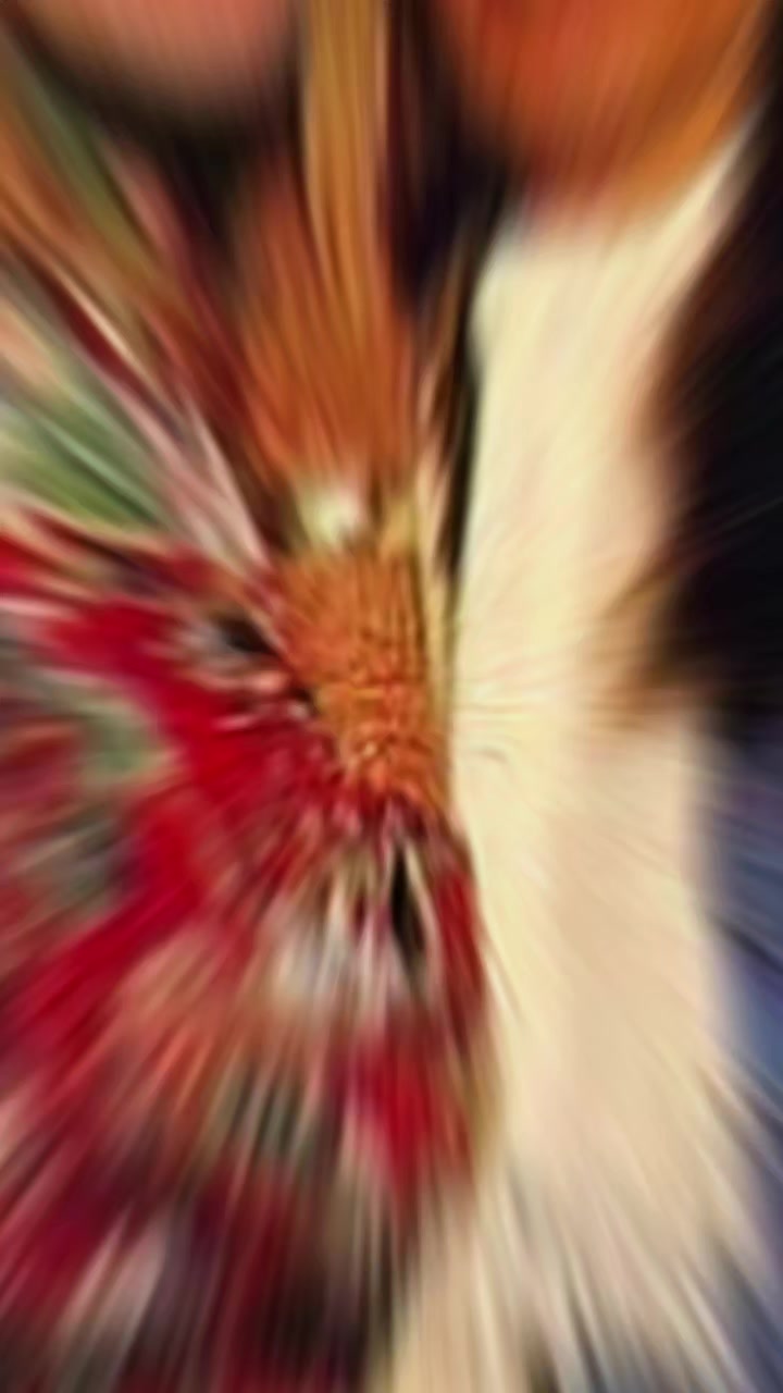 @Ccc