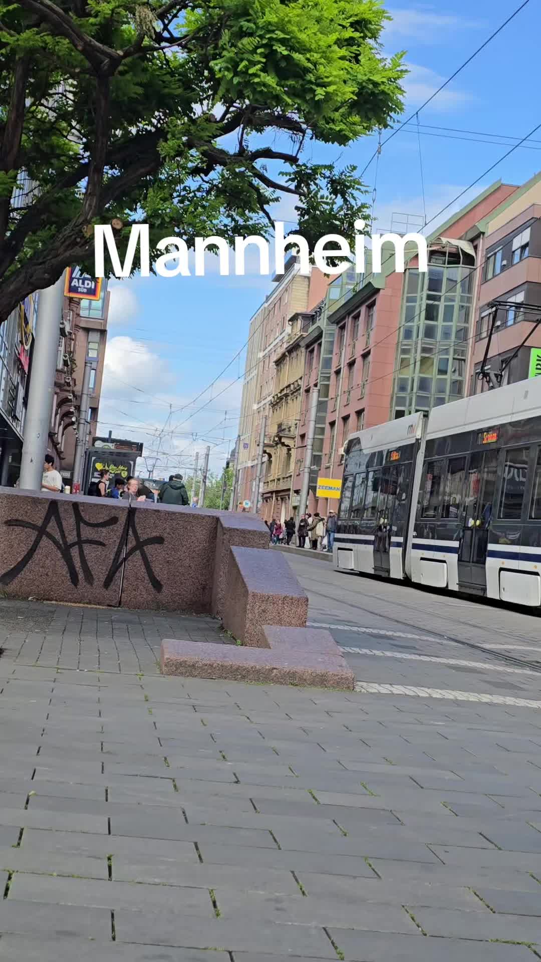 @serife._14