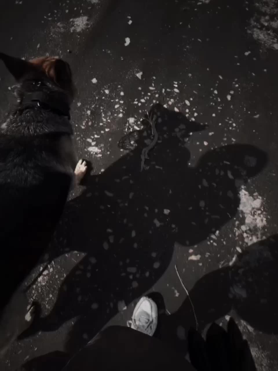 @🌕💫𝔸𝔾ℝ𝕆_ℍ𝔸ℕℕ𝔸💫🌕