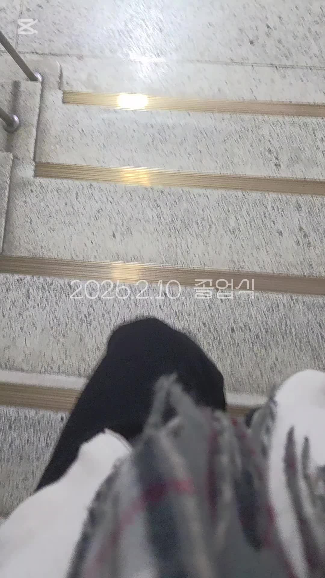 @호랭이🐯