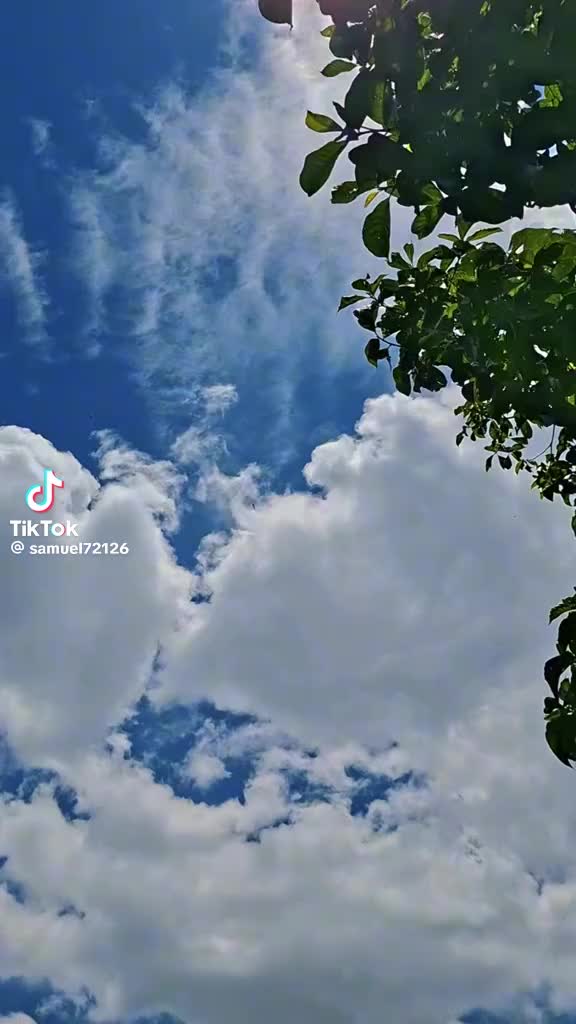 @arely🥰❤️