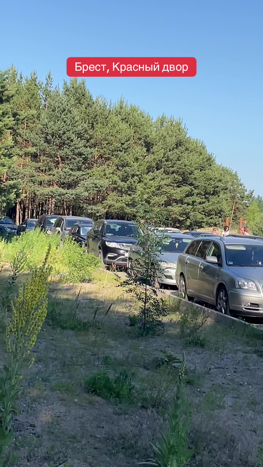 @Тёма Добрый