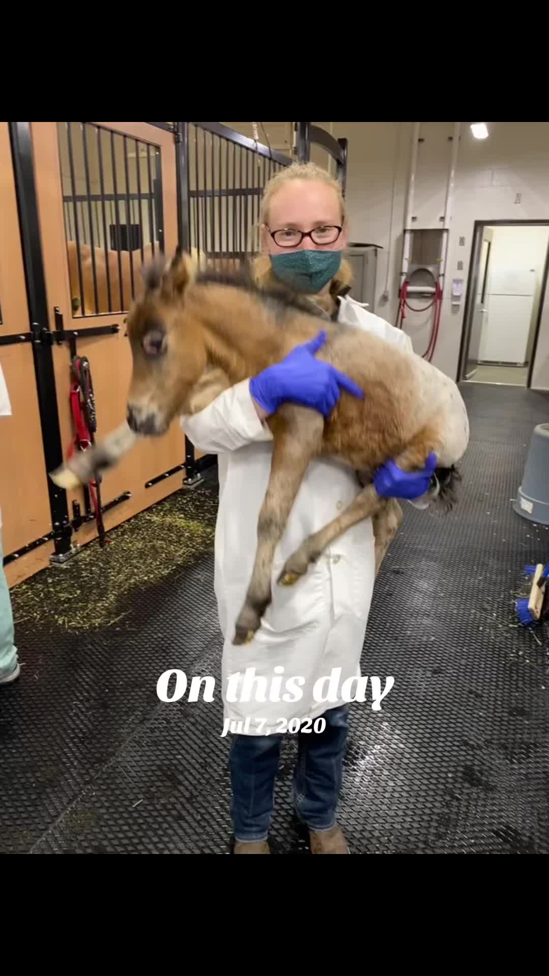 @Dr. Cheryl | Veterinarian🇨🇦