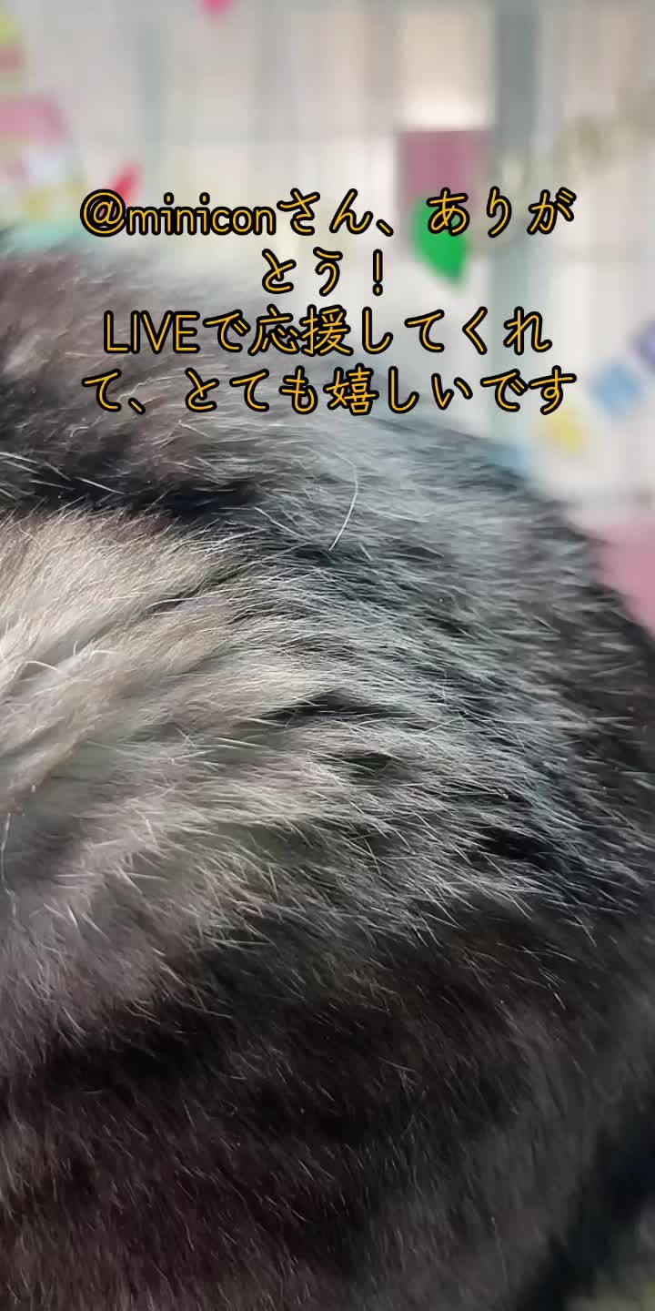 @かあこ