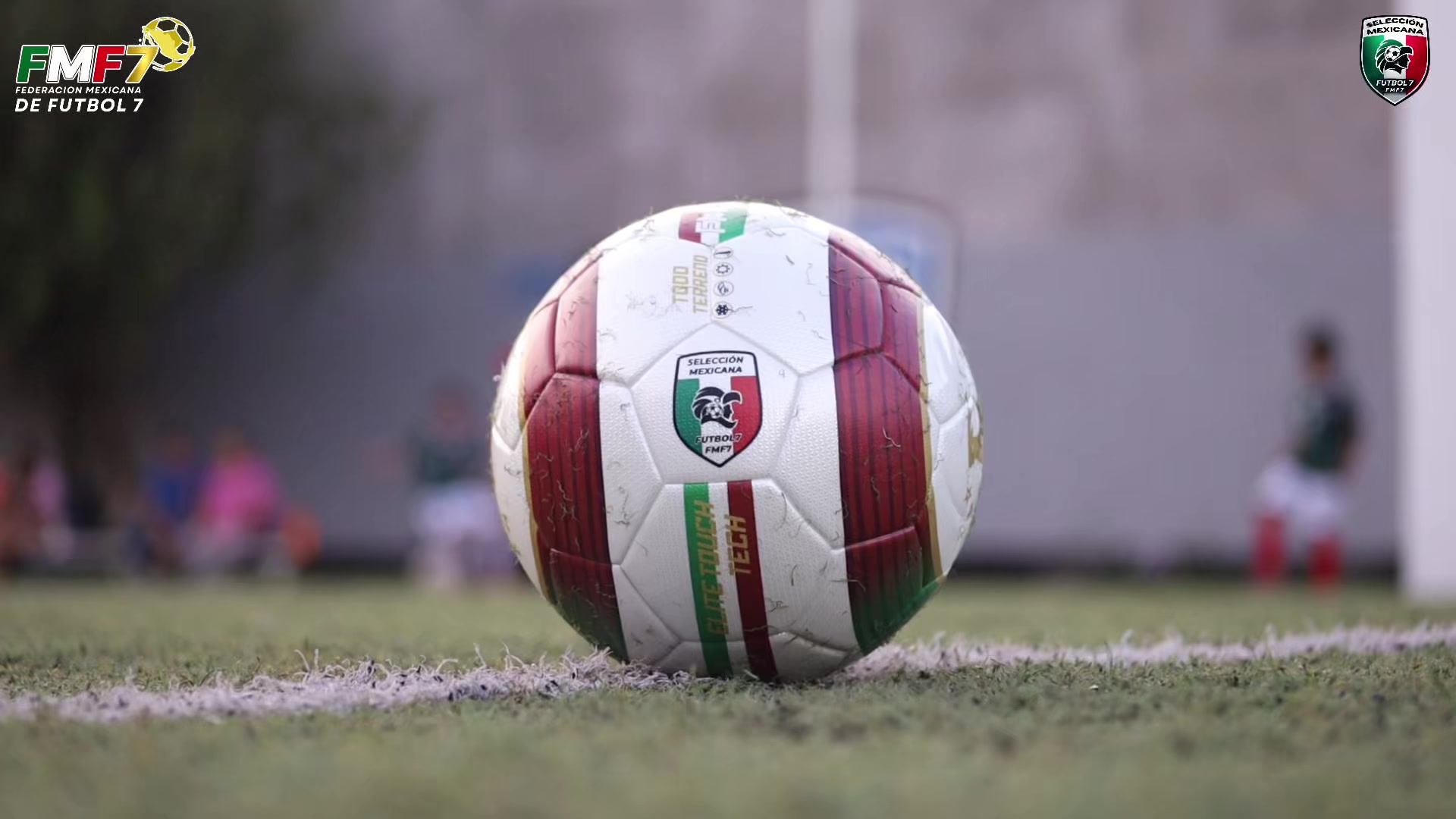 @Federación Mexicana de Futbol7
