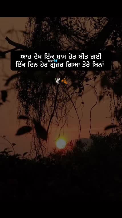 @Reet Kaur🦋🧚♀️🪬