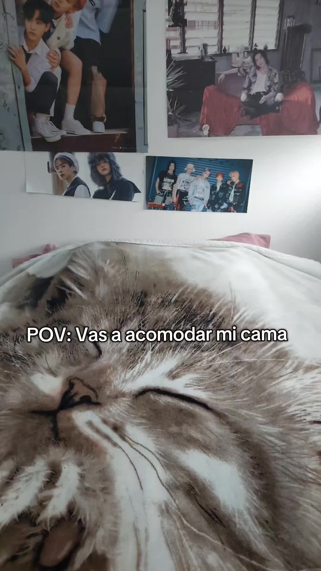 @Judit BG
