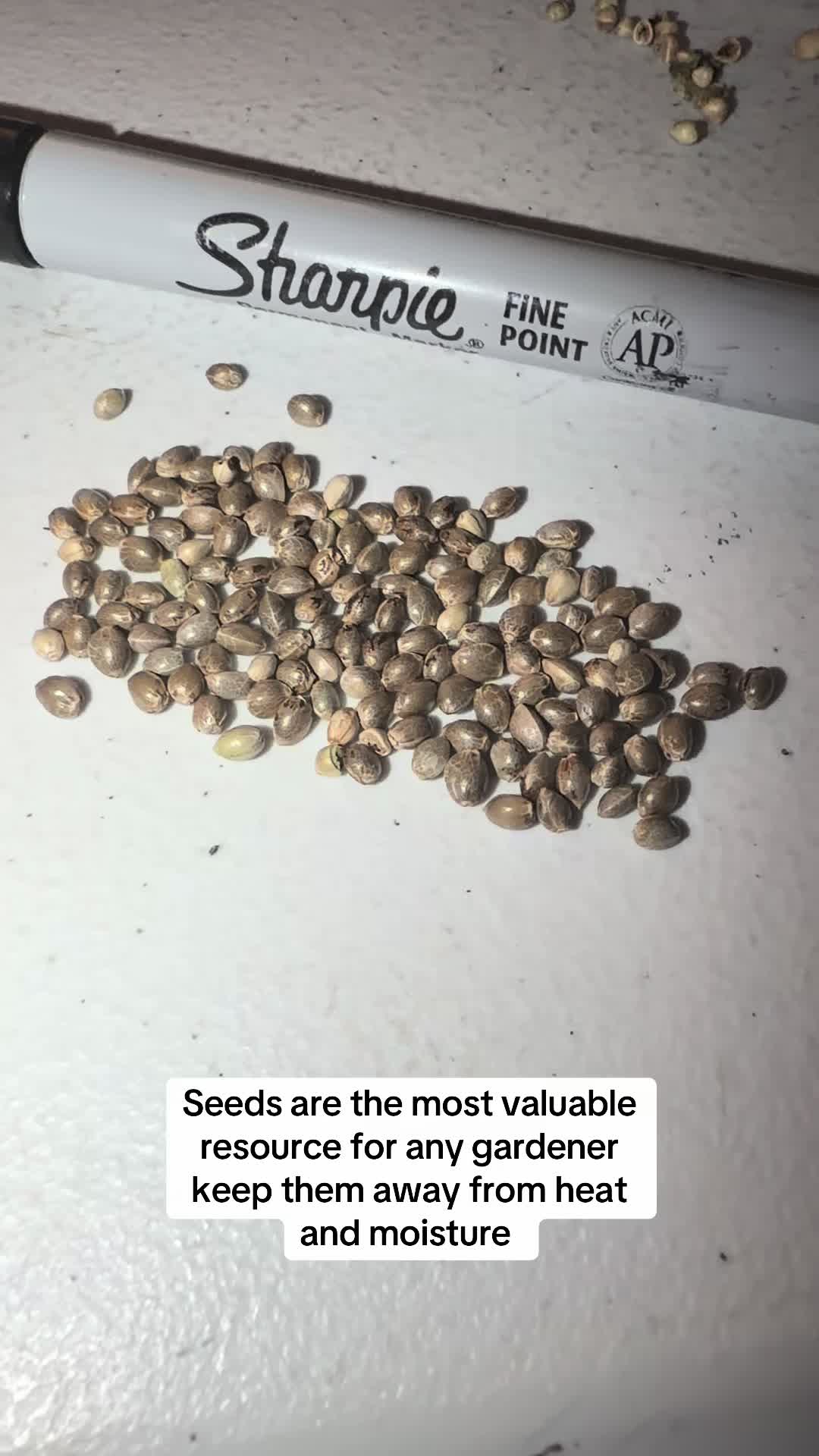 @SEEDTIVA