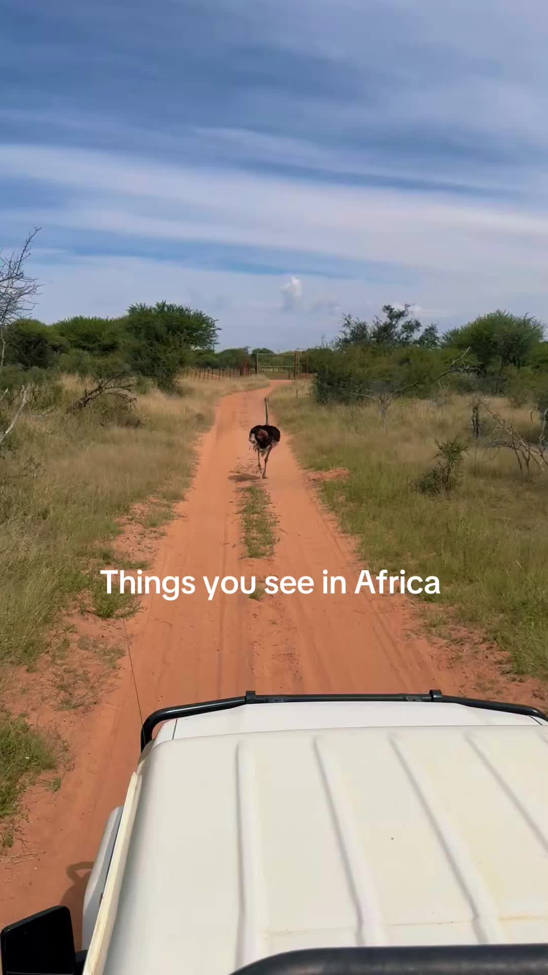 @lexxgotravel