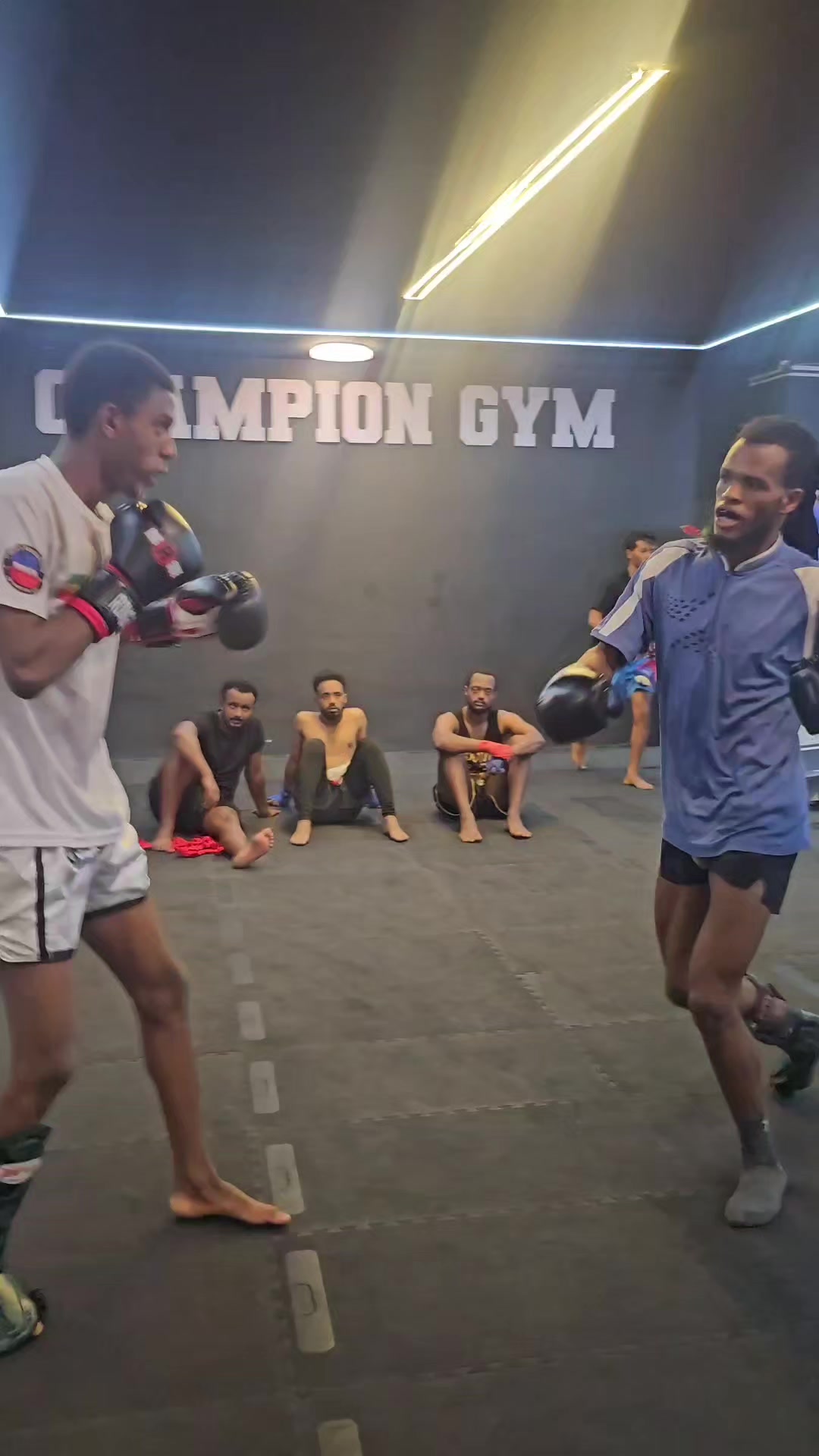 @Tedi shadow muay thai