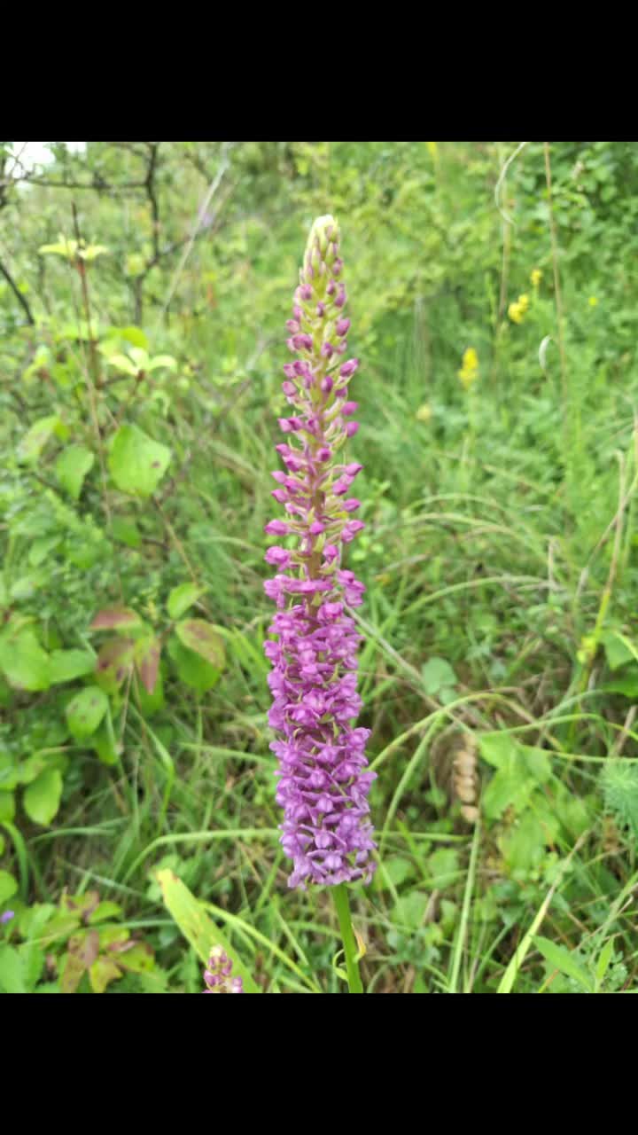 @Natur und Garten