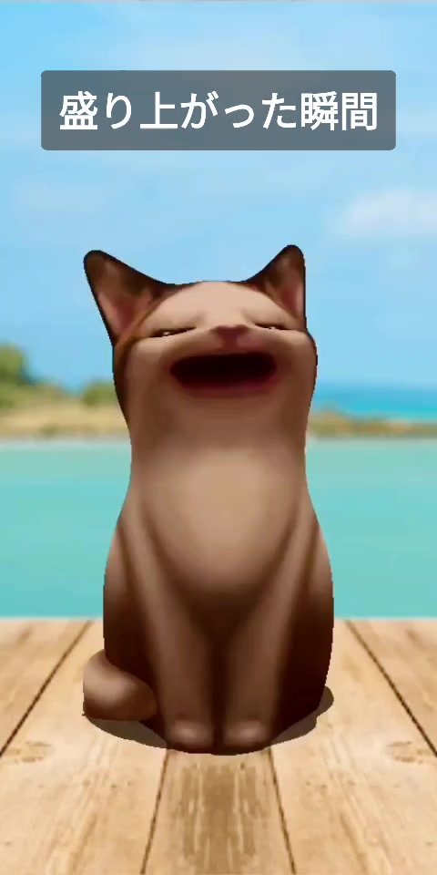 @🐱ねこみみ🐱
