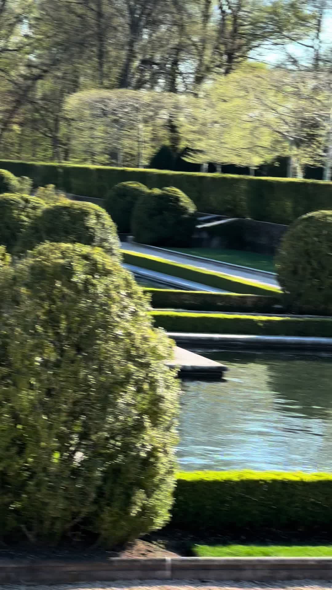 @Eileen