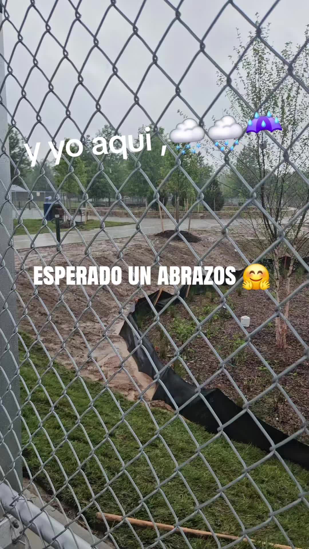 @CREADOR🍁🍂...........