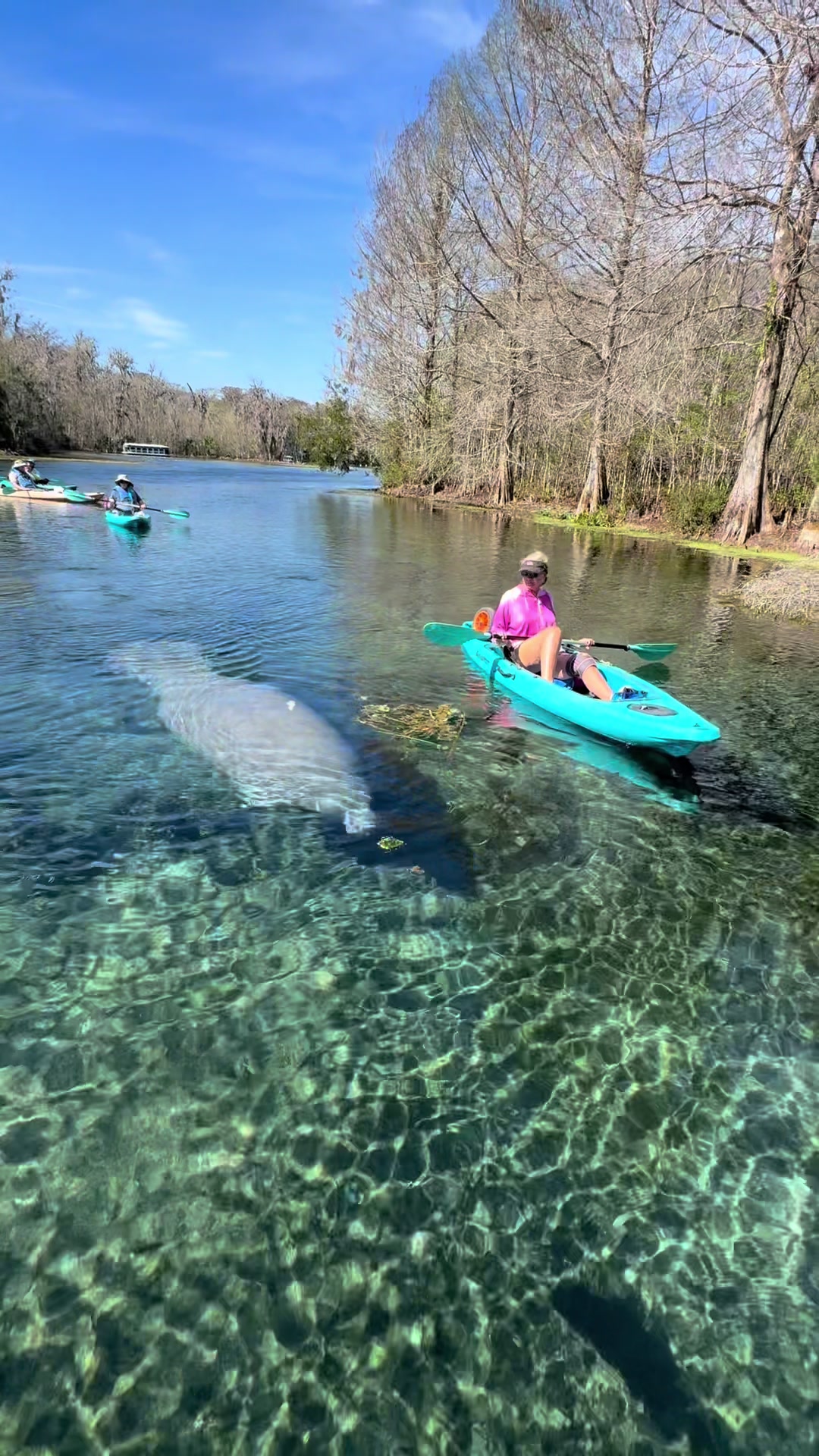 @Wet Rabbit Kayaks