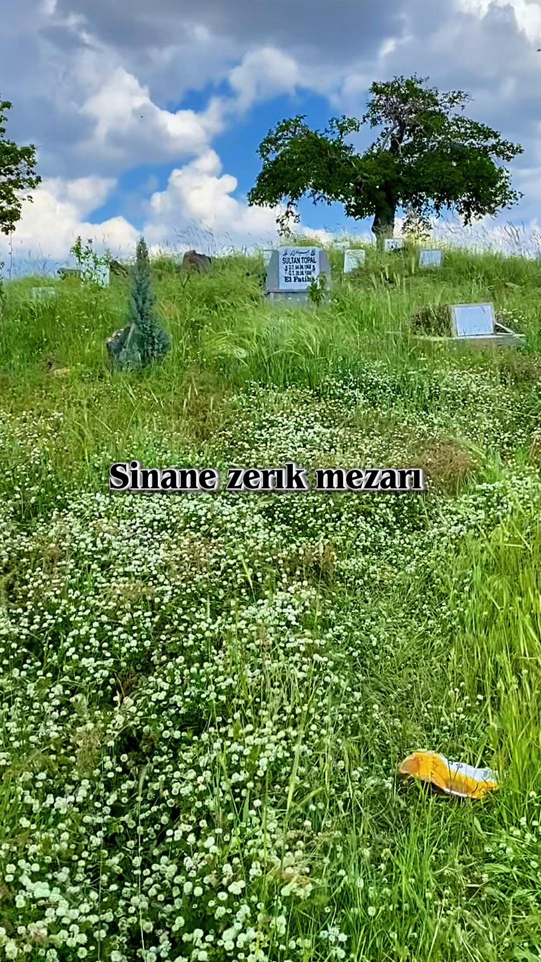 @🌹Şirin İzol 🌹