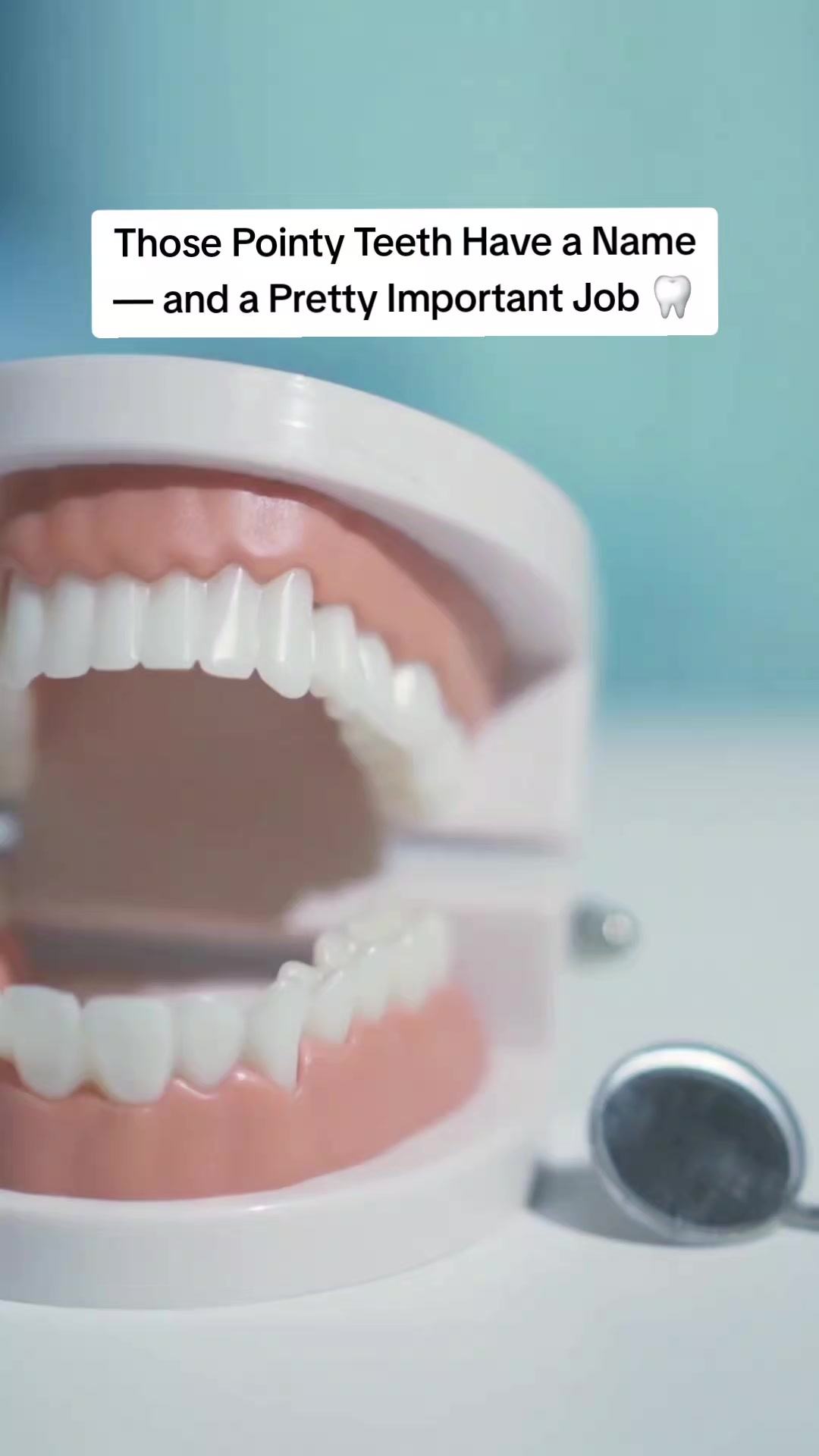 @Conestoga Dental Centre