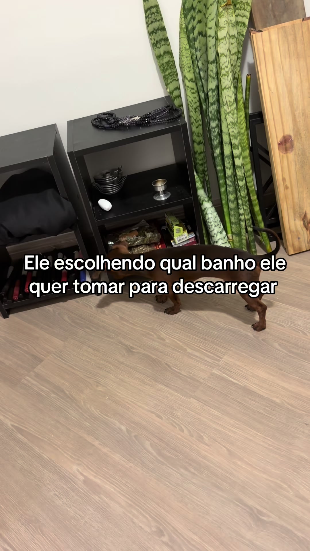 @giandoaxe