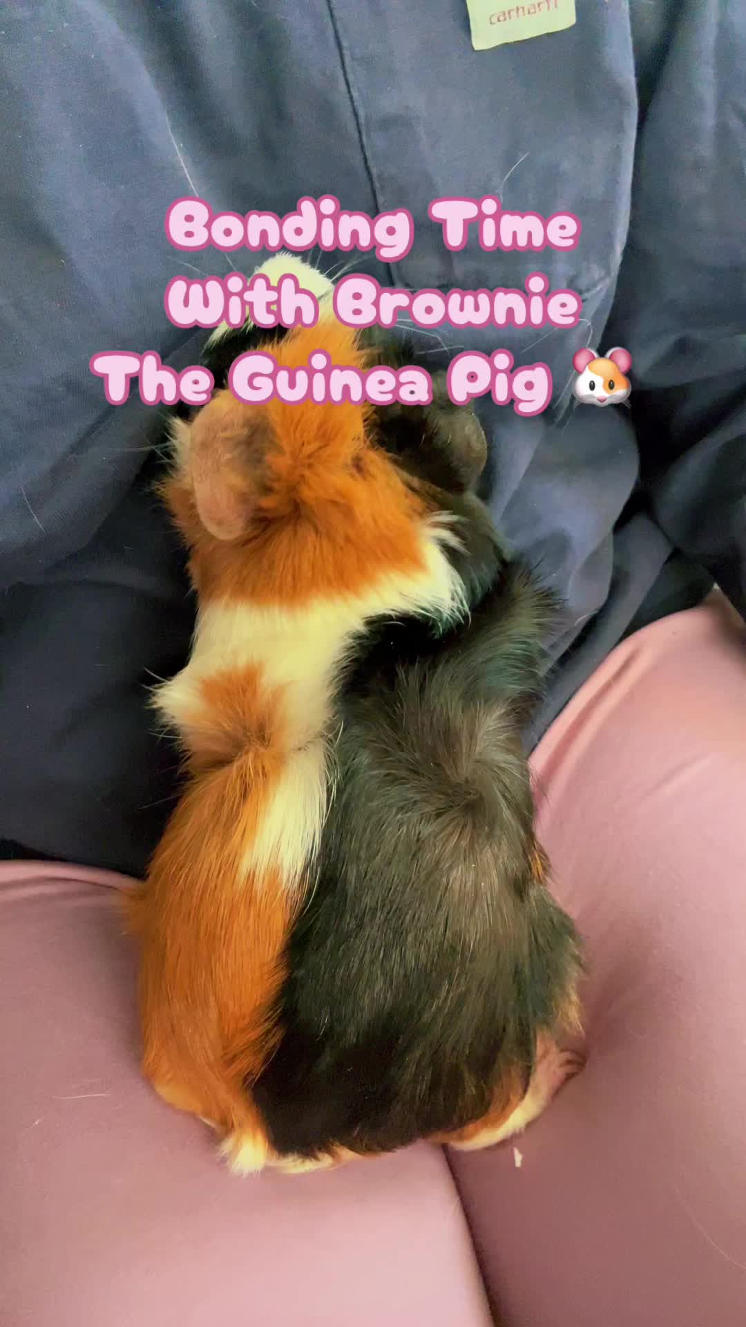 @🧶🧜🏾♀️ItzJustChele👩🏽🌾🐰