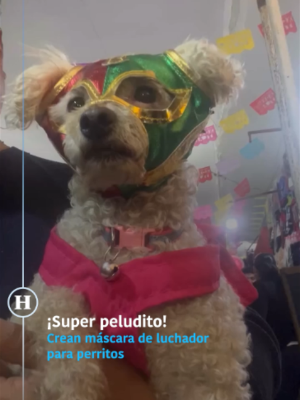 @elheraldodemexico