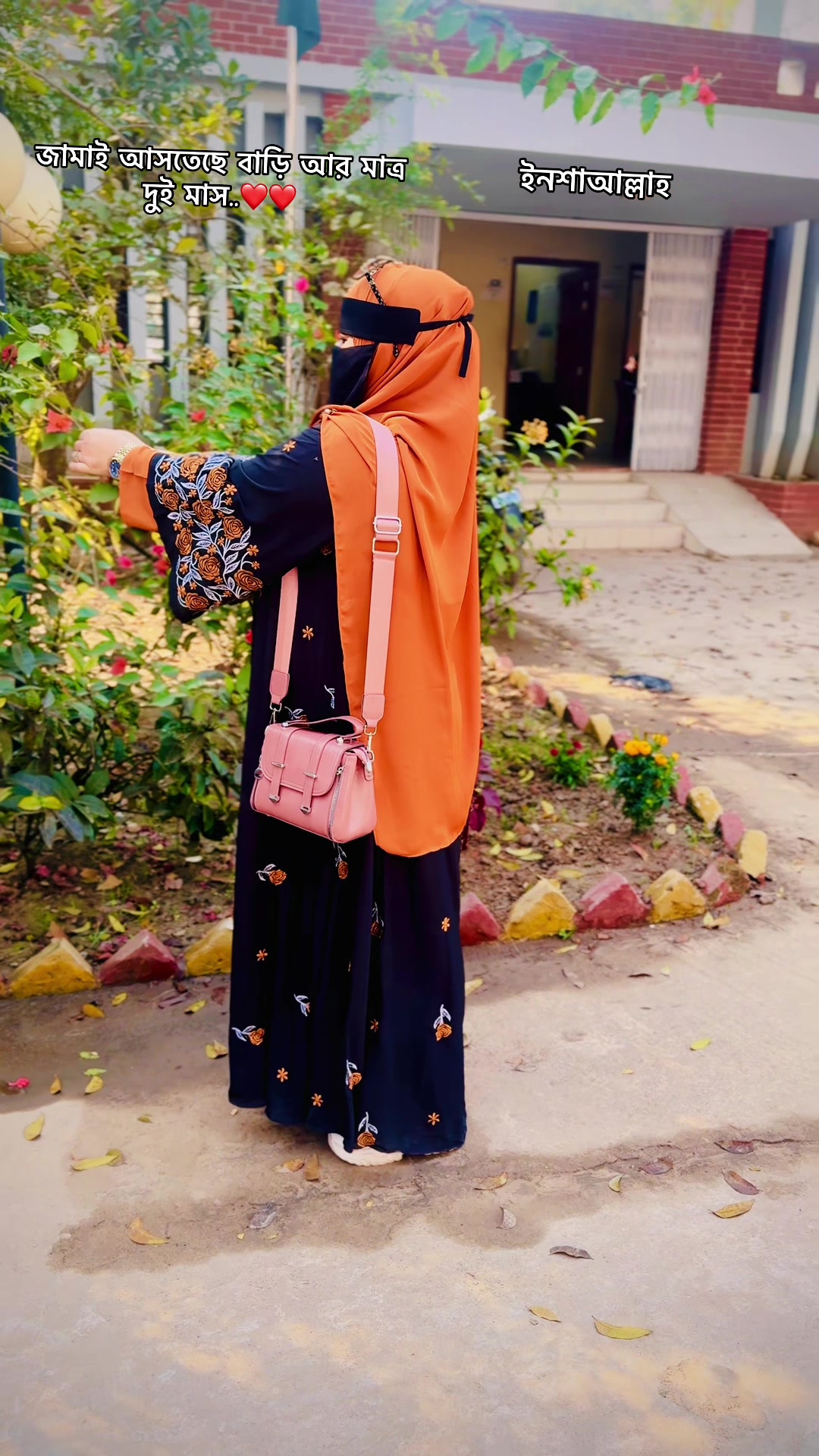 @জোসনা রাতের জোনাকী