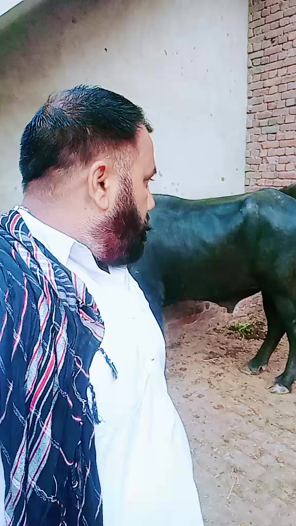 @amanat Kasai