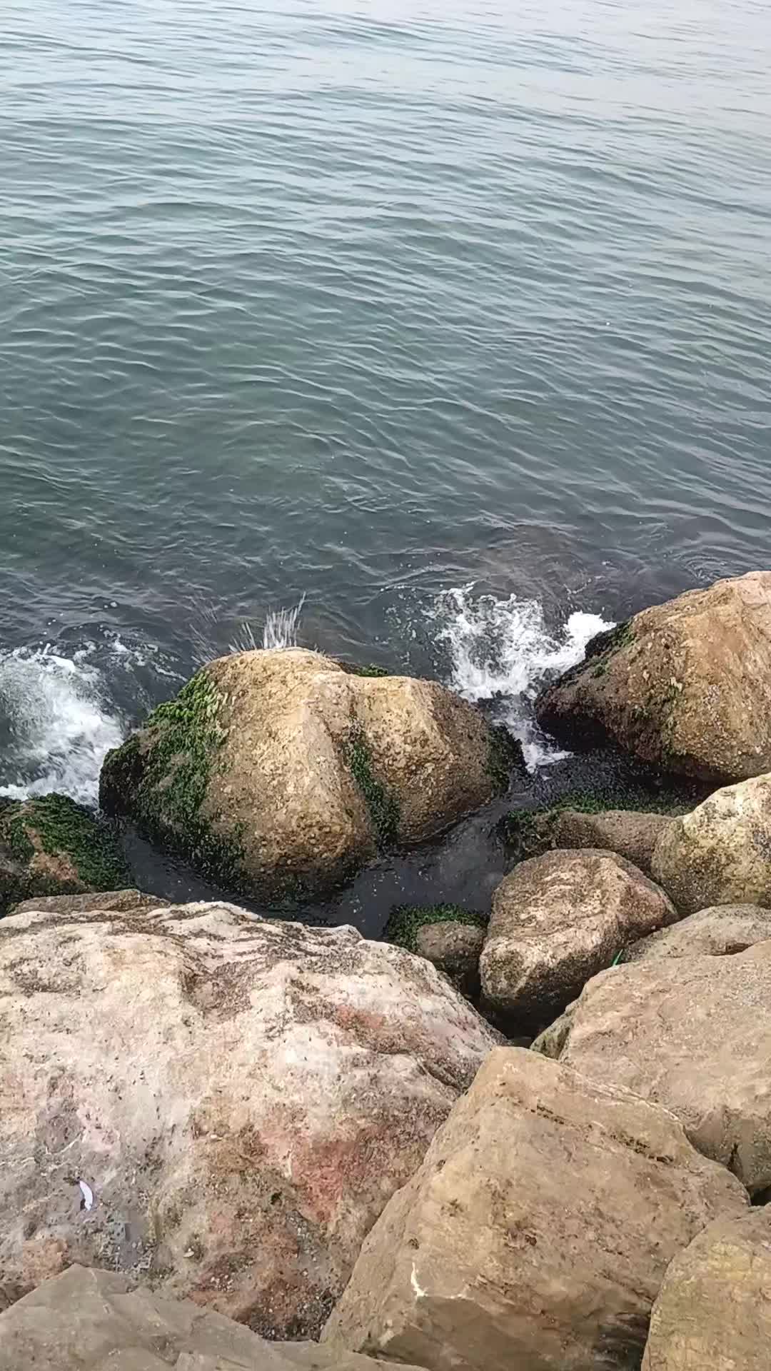 @🐺الذئب🐺المنفرد🐺