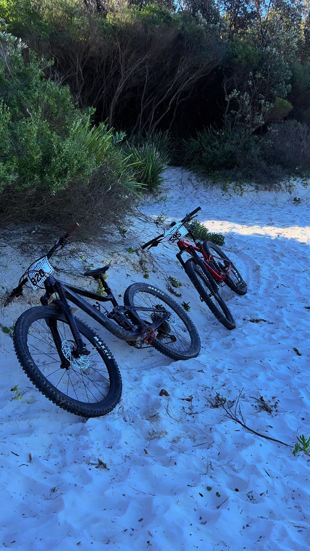 @Dallas_biking