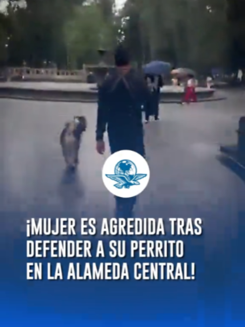 @El Universal