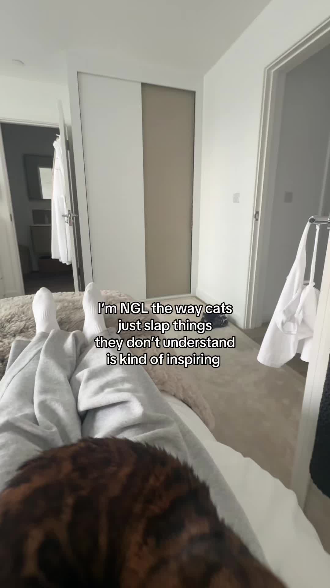 @Rex