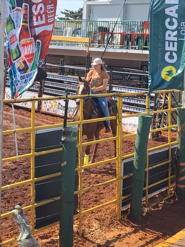 @rodeo