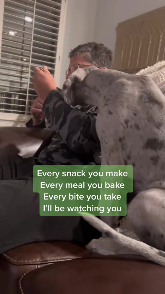 @Calliope & Athena Bleu