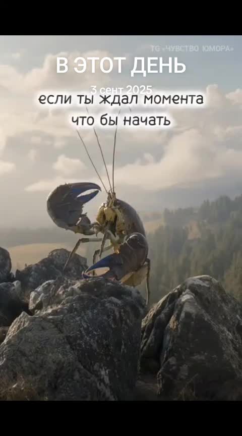 @KRAIZI