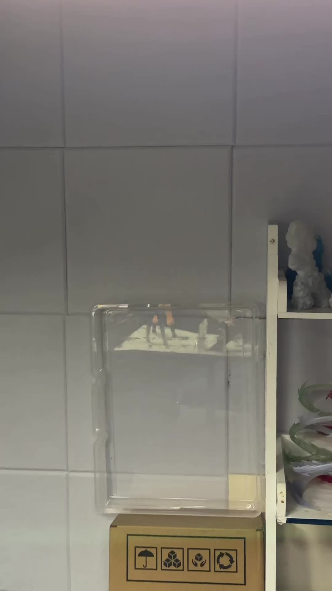 @wipz