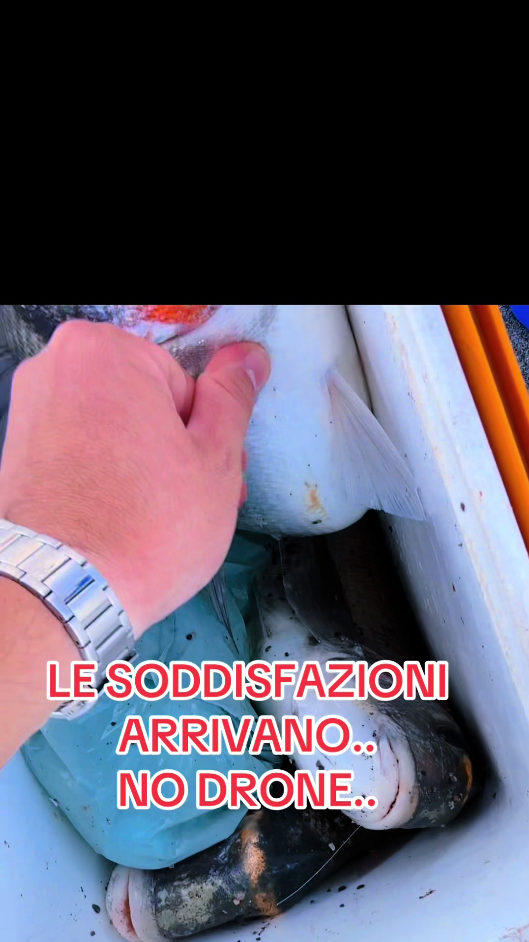 @Gaetano Rispoli