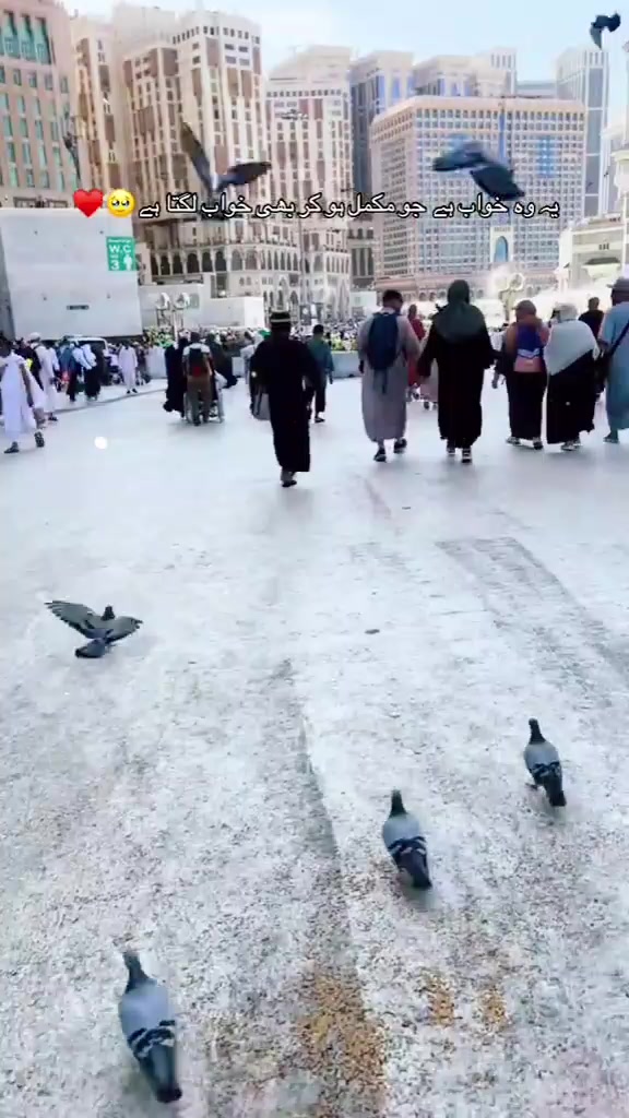 @﷽🕋﷽Joynal Abedin ﷺ🕋ﷺ