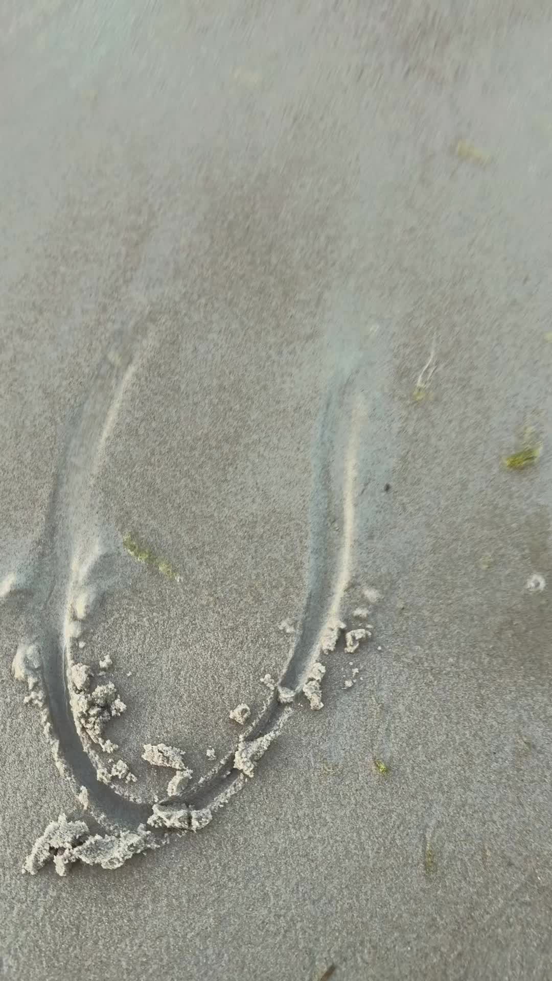 @L♡
