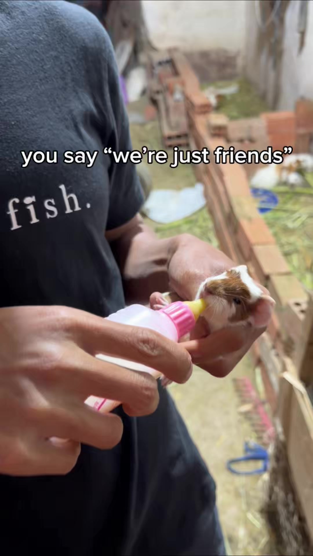@JP