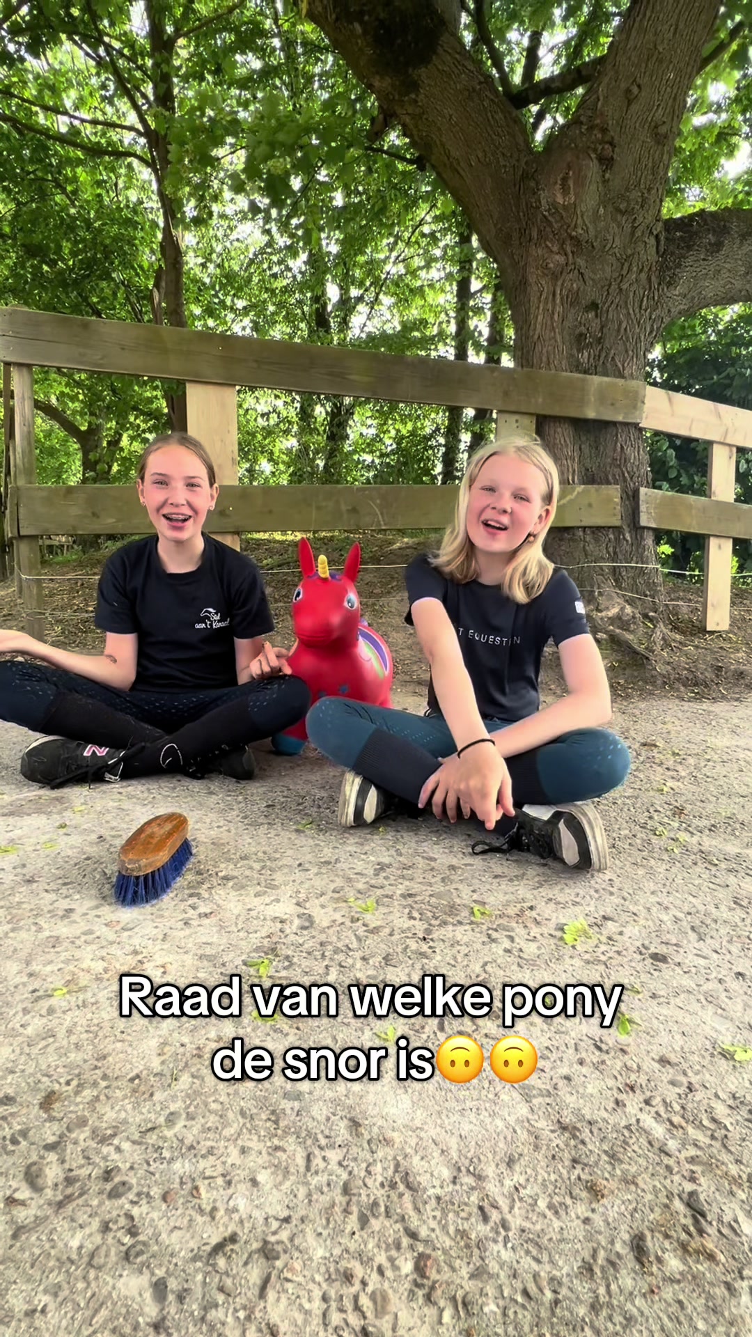 @Syrche Cordewener