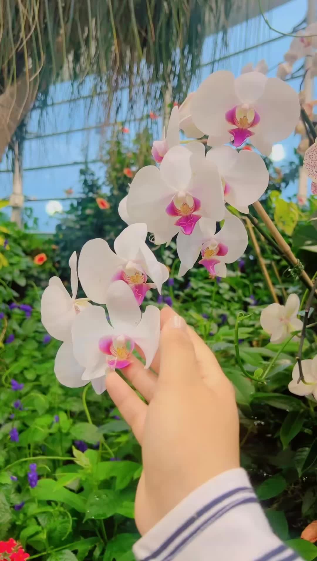 @laily🤍