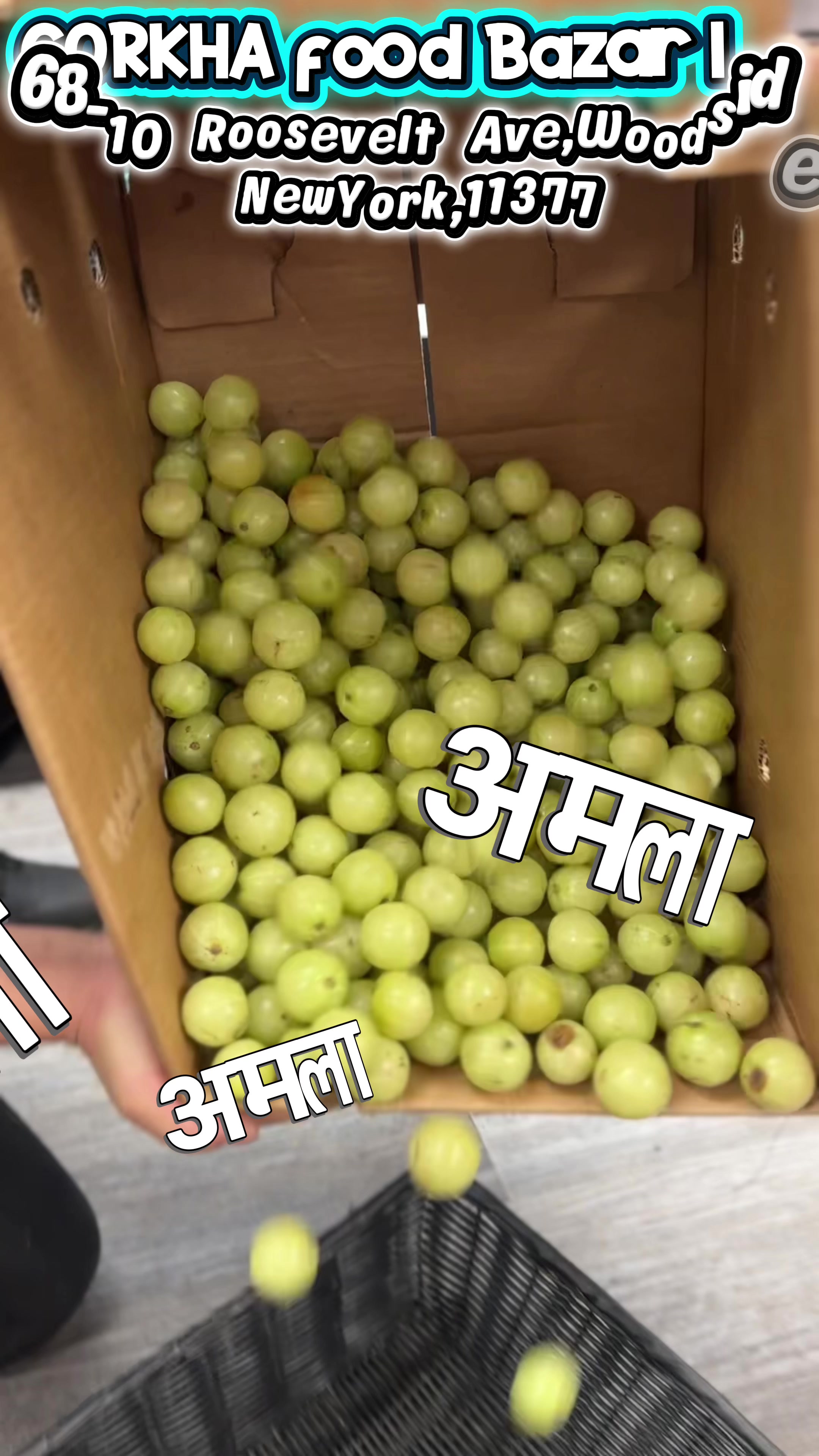 @GORKHA FOOD BAZAR INC