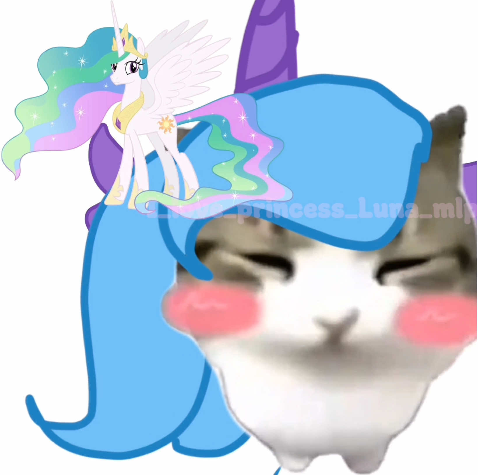 @Mlp fan