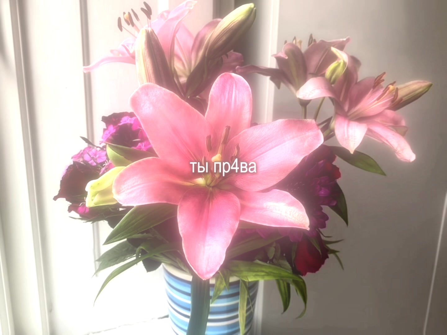@звуки для липсингов