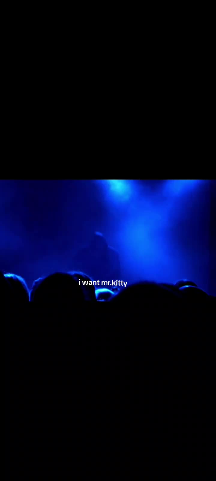 @Daily Mr.Kitty